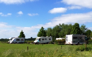 Kleine camping in provincie Groningen - blauwestadhoeve